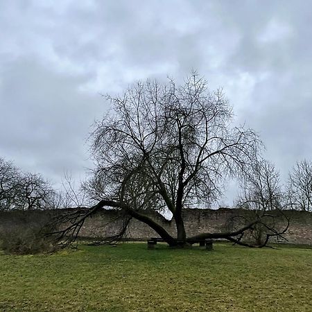 Delux Ferienwohnung Kunstgalerie Und Ilmradweg Kranichfeld Exterior foto