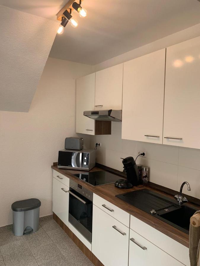 Delux Ferienwohnung Kunstgalerie Und Ilmradweg Kranichfeld Exterior foto