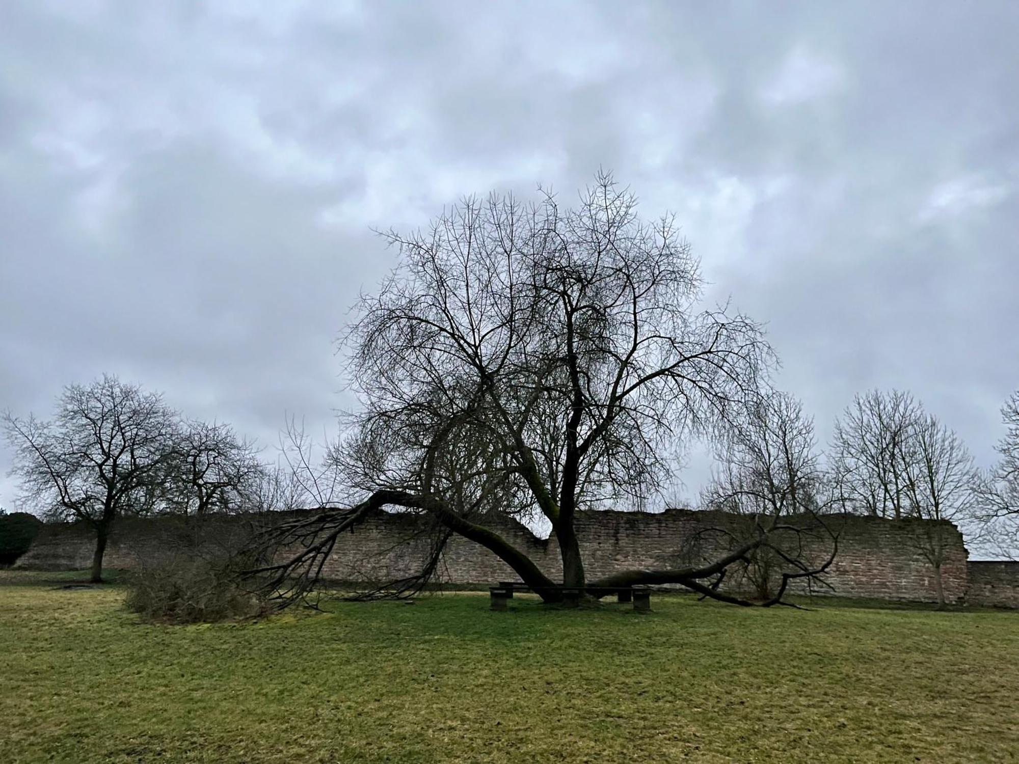 Delux Ferienwohnung Kunstgalerie Und Ilmradweg Kranichfeld Exterior foto