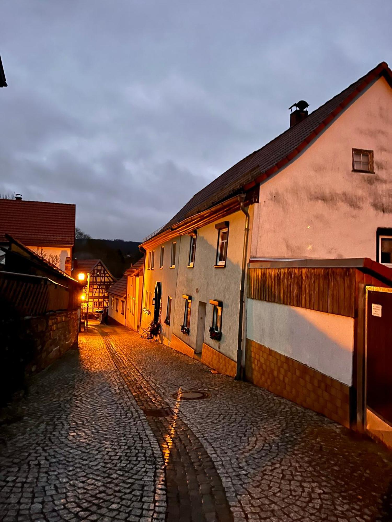 Delux Ferienwohnung Kunstgalerie Und Ilmradweg Kranichfeld Exterior foto